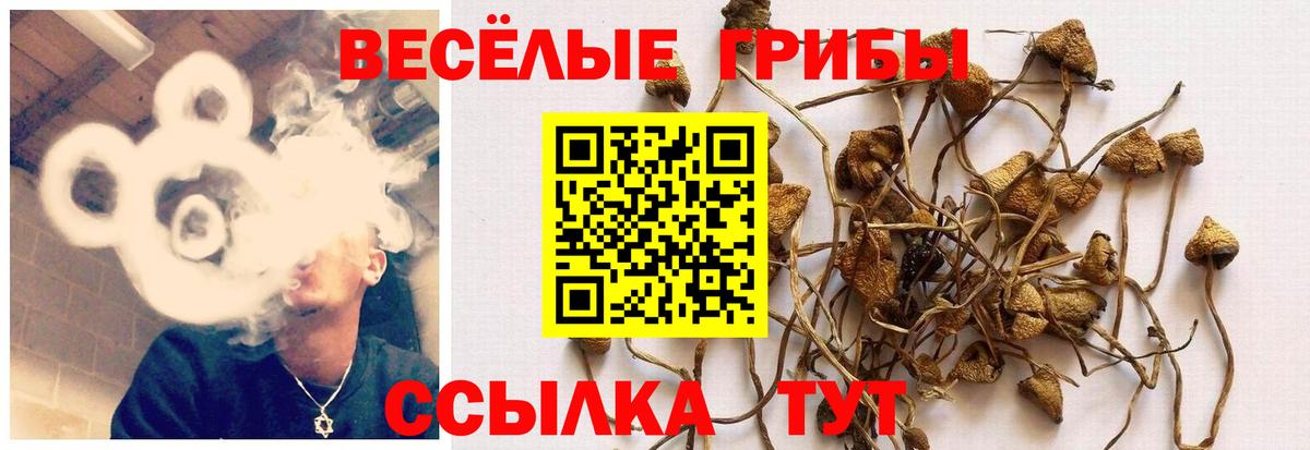 Псилоцибиновые грибы ЛСД Оренбург